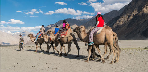 trek ladakh 