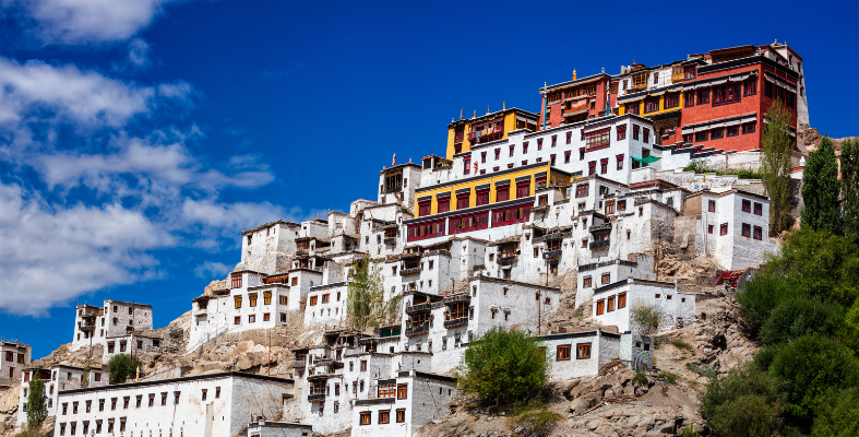 Stay in Leh