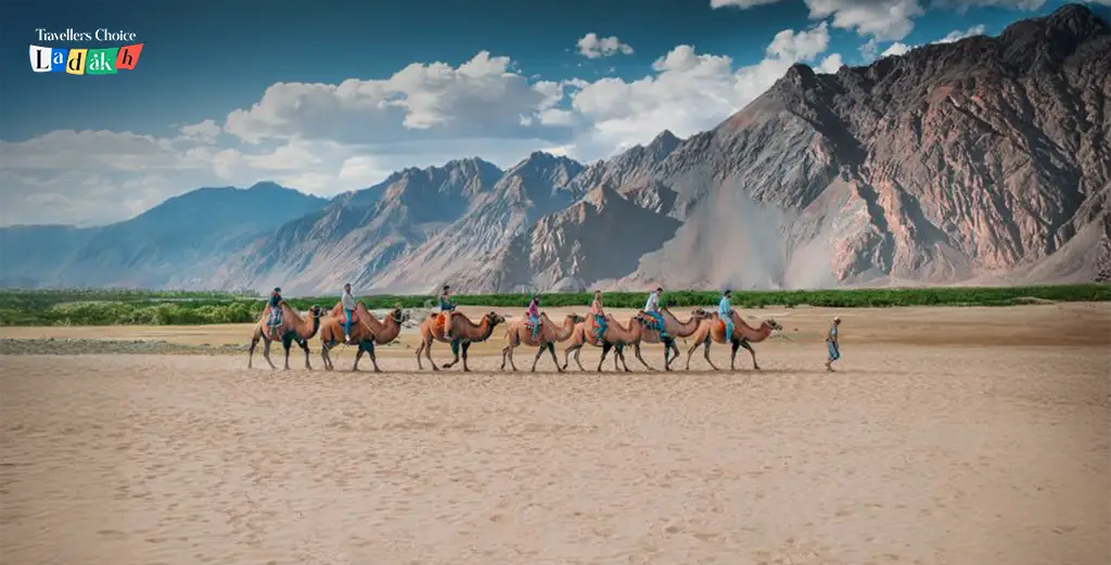 Leh to Nubra Valley road trip