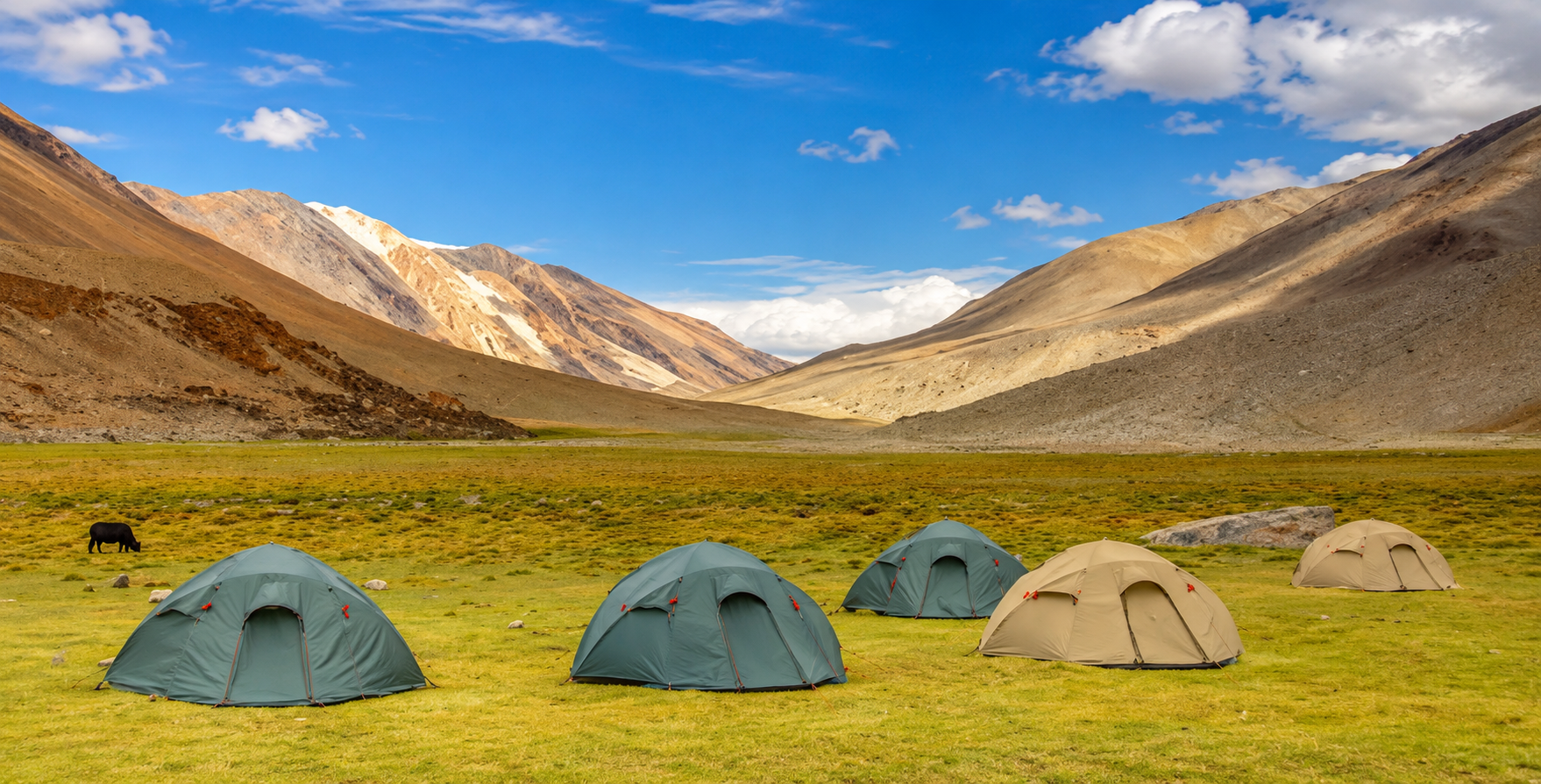 Camping in Ladakh