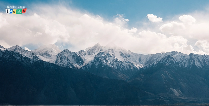 ladakh wildlife
