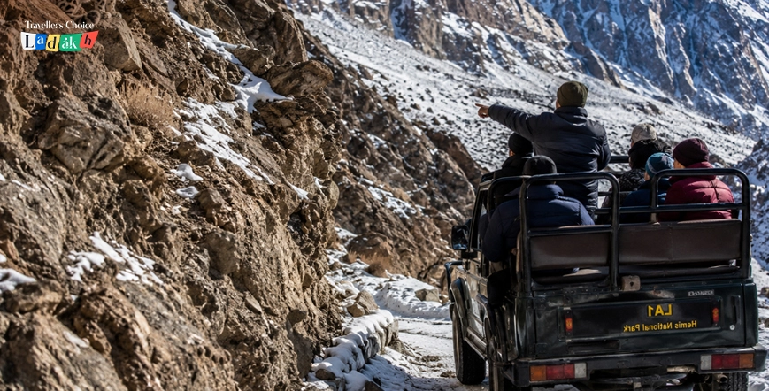 snow leopard safari ladakh