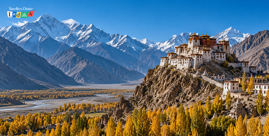 Nubra Autumn